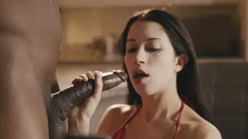 nothing makes a you look prettier than a big black cock in your mouth porn gif