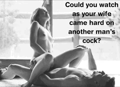 porn gif