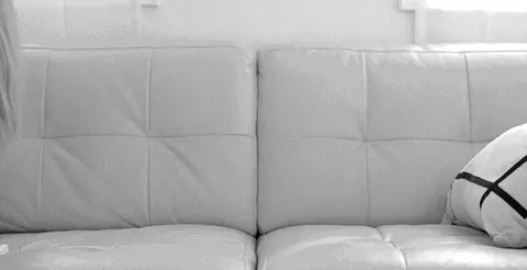 porn gif