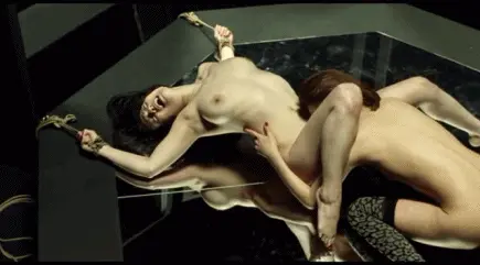 porn gif