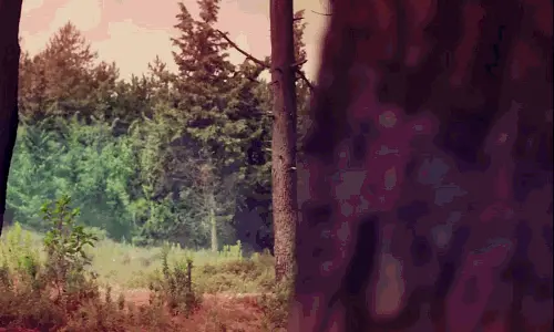 porn gif