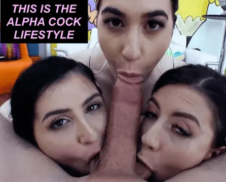 a harem of three sluts worship logan long's alpha cock, pt 2 porn gif