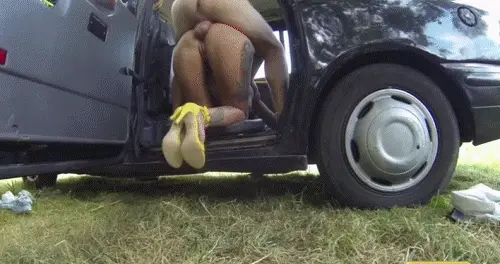 do not distract the taxi driver while driving porn gif