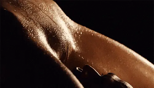 cunnilingus porn gifs - part 3 porn gif