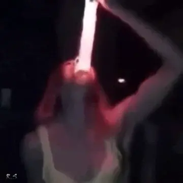porn gif