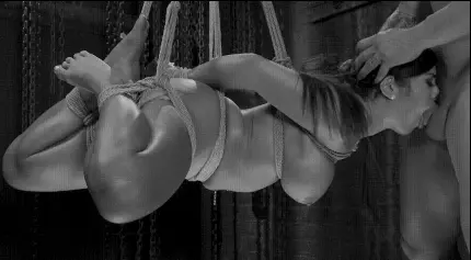 porn gif