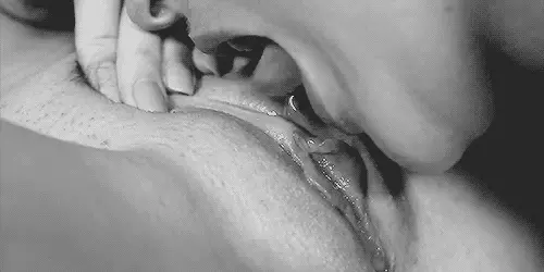 pussy licking porn gif