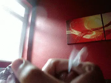 porn gif