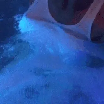 wet white t-shirt titties porn gif