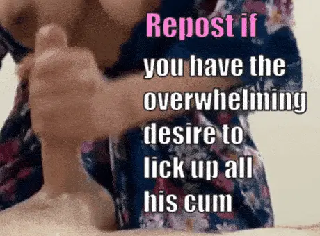 a sissy should never waste cum porn gif