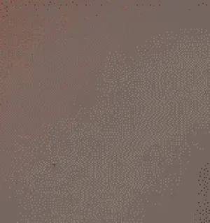 flash me now! porn gif