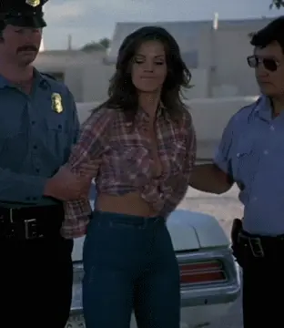 lynda carter in bobbi jo and the outlaw porn gif