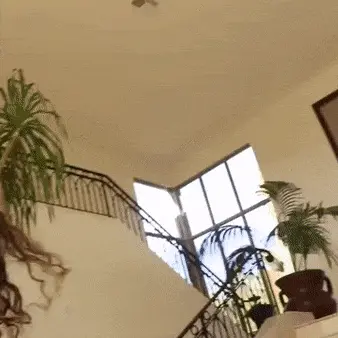 friend porn gif