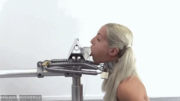 porn gif