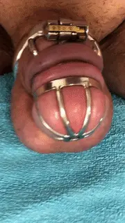 ruined orgasm in chastity porn gif