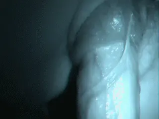 penis penetrating pussy porn gif