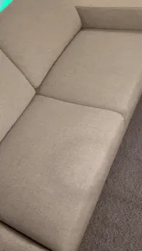 tossing kitty on the couch porn gif