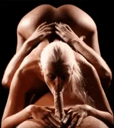 romantic porn gif