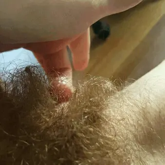 wet pussy porn gif