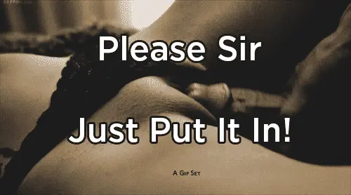 oh please porn gif