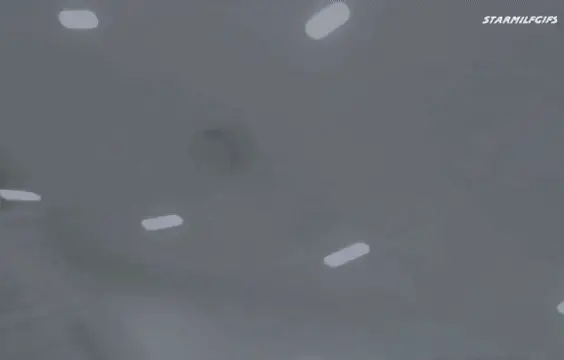 kendra lust porn gif