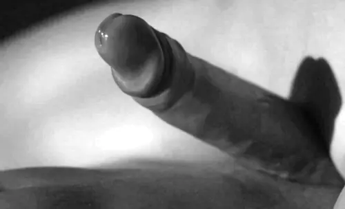 porn gif