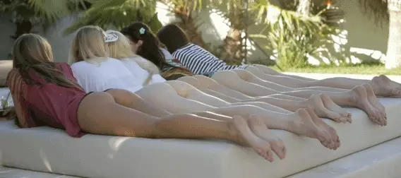 the more ass the better porn gif