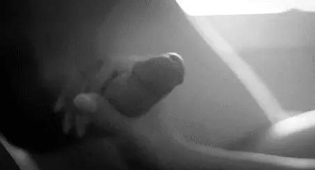 porn gif