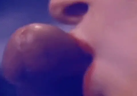 kissing cock porn gif