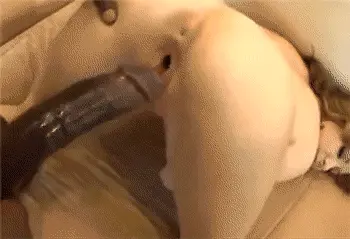 porn gif