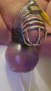 dripping cage porn gif