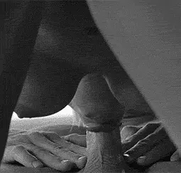 porn gif