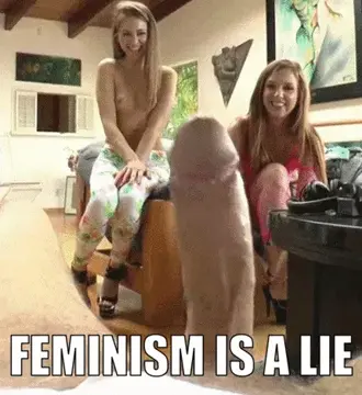 women only want one thing porn gif