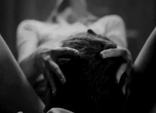 cunnilingus porn gif porn gif