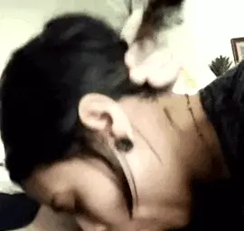 emo bobble head porn gif