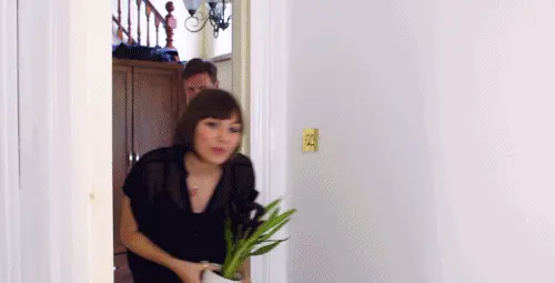 i love catching people having sex ! porn gif