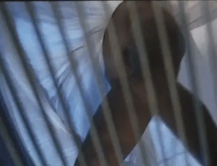 retro upskirt porn gif