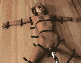porn gif
