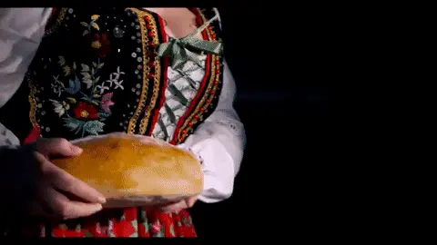 porn gif