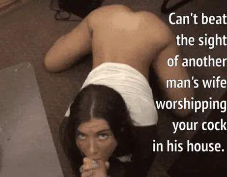 another man's wife worshipping your dick porn gif