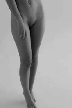 porn gif