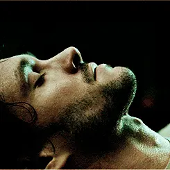 wil porn gif