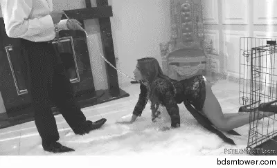 ... porn gif