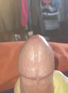 teste it ???? porn gif