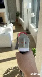 funny porn gif