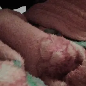 flexing my cock porn gif