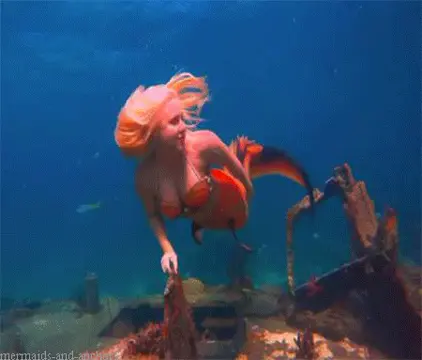 mermaid melissa porn gif