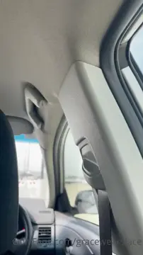 Car blowjob