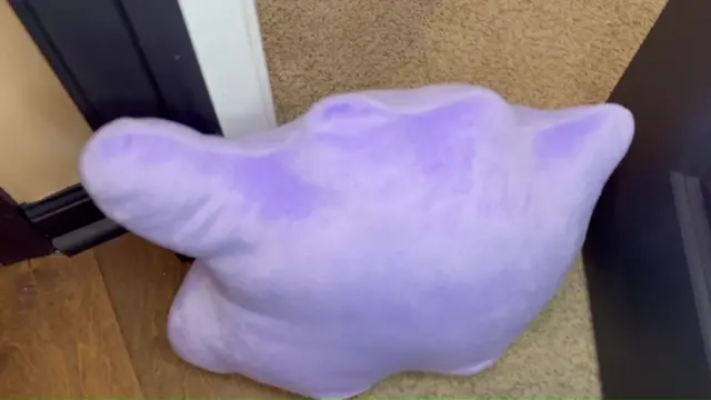 Pokemon: Ditto Transforms Into Ash's Step Mom NSFW_Caption