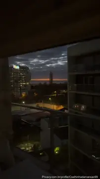 Coelhinha do Hype